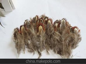 舞臺(tái)服裝輔料供應(yīng)商與批發(fā)市場(chǎng)全攻略 采購(gòu)策略與價(jià)格解析